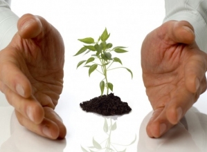 Start small but with the end in mind.